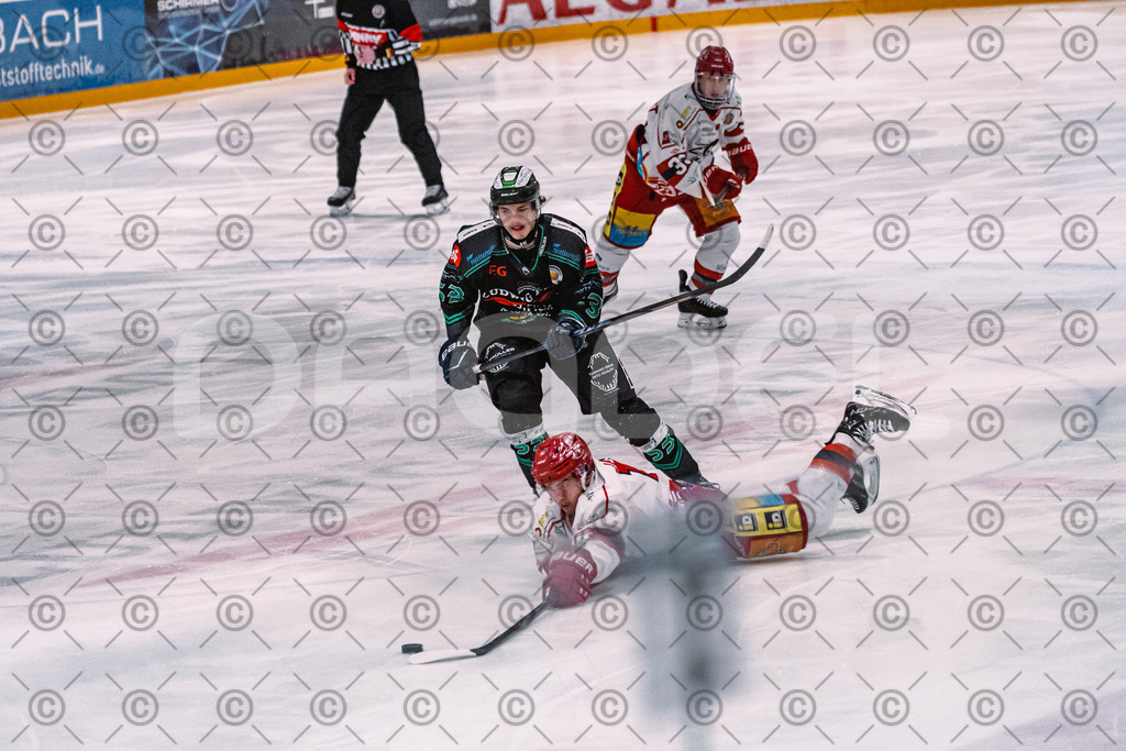 Alligators_vs_Deggendorf_23_01_2026-68 | Höchstadt Alligators Fotogalerie: Eishockey-Action aus Franken. Professionelle Spielfotos, Portraits & Stadionbilder zum Download. Jetzt entdecken! - Realisiert mit Pictrs.com