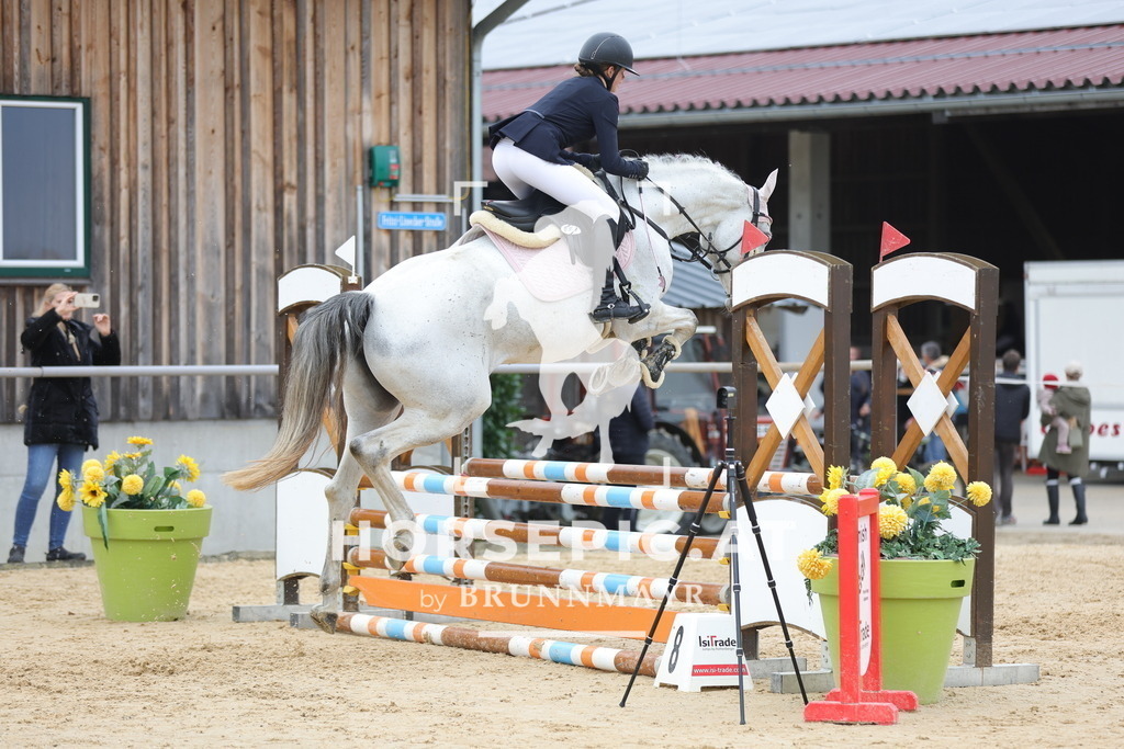 0P6A2367 | Willkommen bei Brunnmayr - Design & Fotografie – Ihrem Spezialisten für Reitturniere und Pferdeveranstaltungen in Oberösterreich, Salzburg und Bayern! Seit über 17 Jahren sind wir leidenschaftlich dabei.