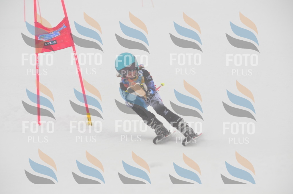 C1210 | holidayphoto