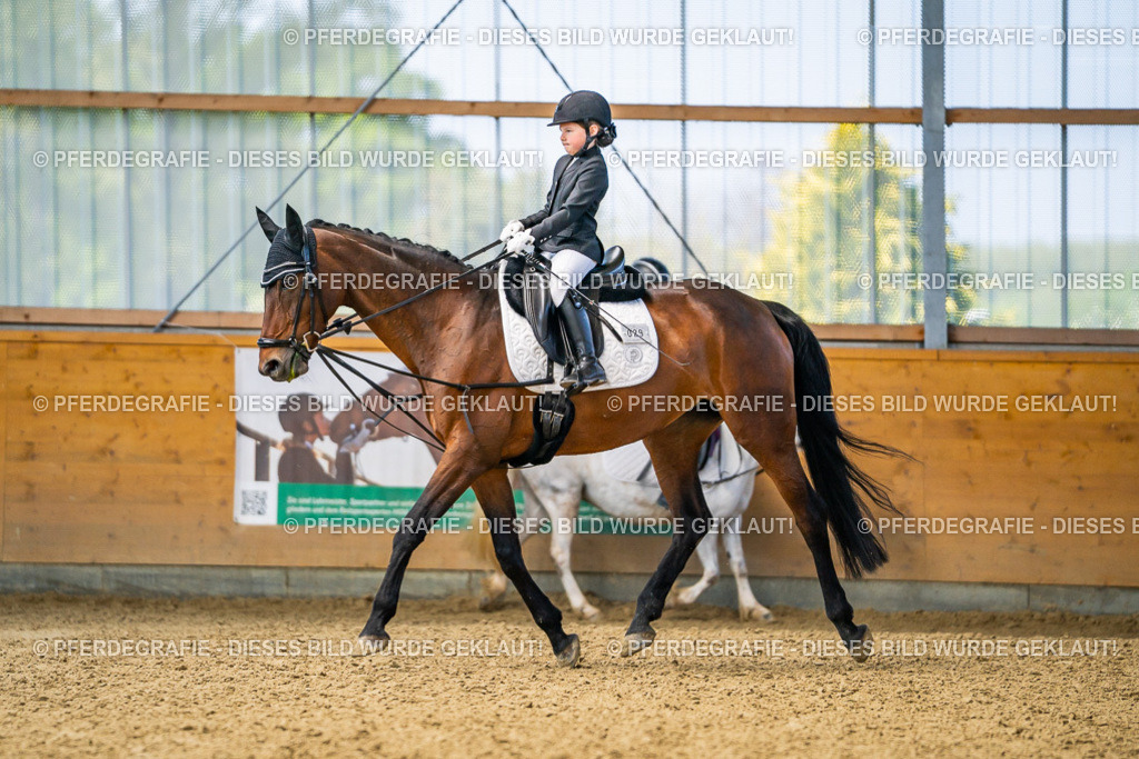 DSC02521 | Pferdegrafie