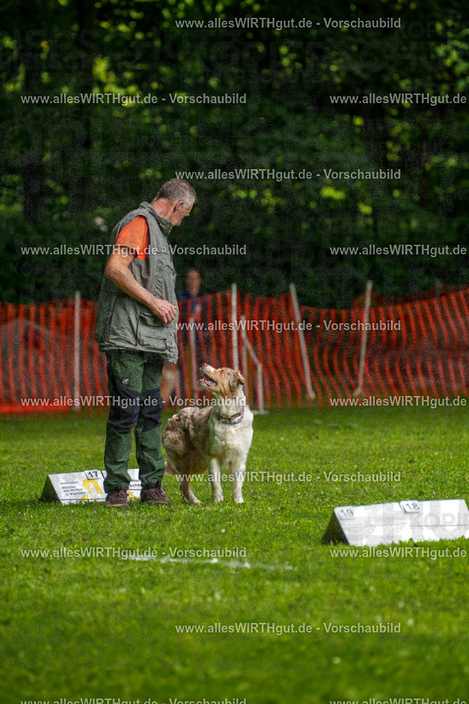 @allesWIRTHgut_Tierfotografie - www.allesWIRTHgut.de - 7R502869 | Professionelle Tierfotografie in Mönchengladbach von Daniel Wirth (allesWIRTHgut). Liebevolle & natürliche Bilder von Hunden & Katzen für unvergessliche Erinnerungen.