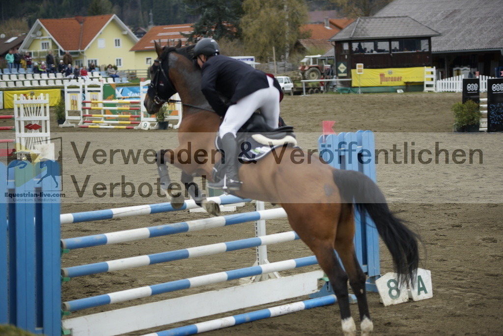 _DSC7250 | equestrian-live-com