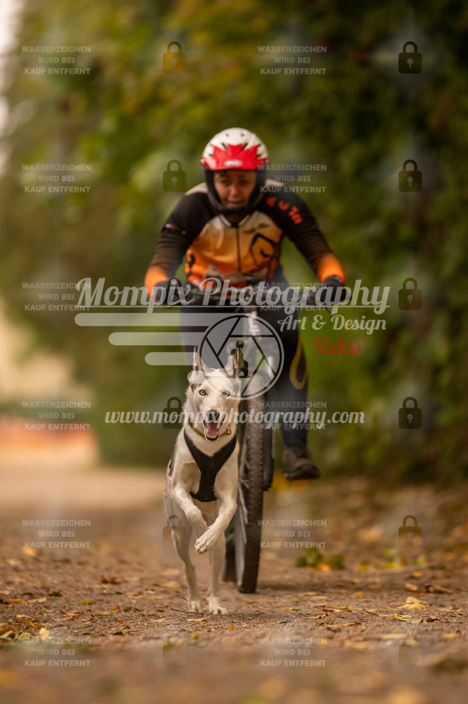 CDLBDB_14_10_2023_Samedi-179 | PayLife