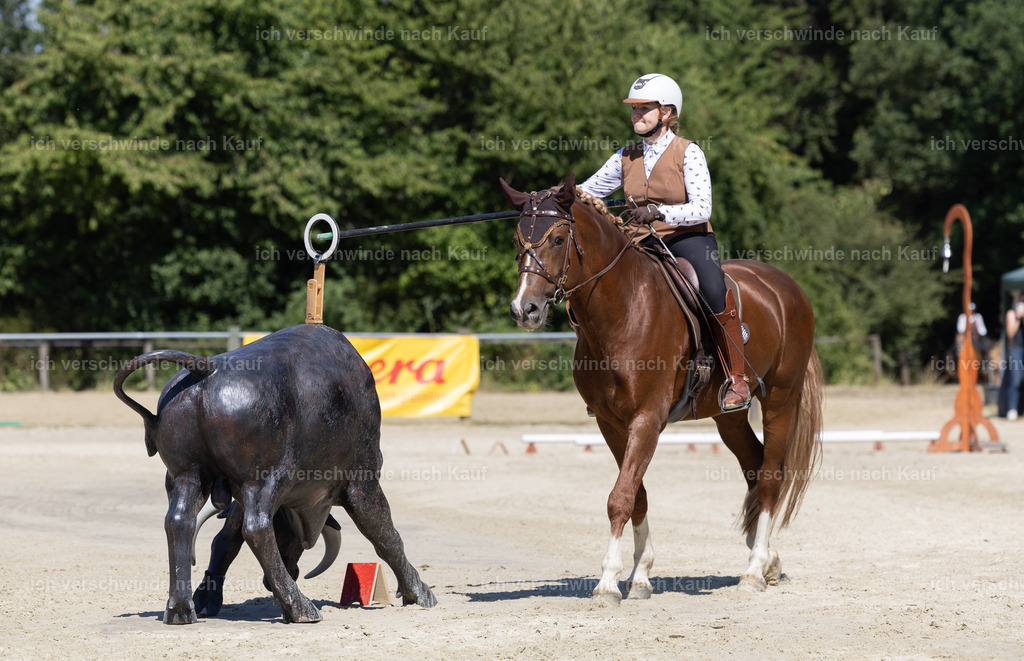 WE_Trail_16_KerstinBernhardt-6 | working equitationturnier fotograf videograf stoibphotography marixx film working equitation deutschland reitsport turnierfotografie eventfotografie equestrian events