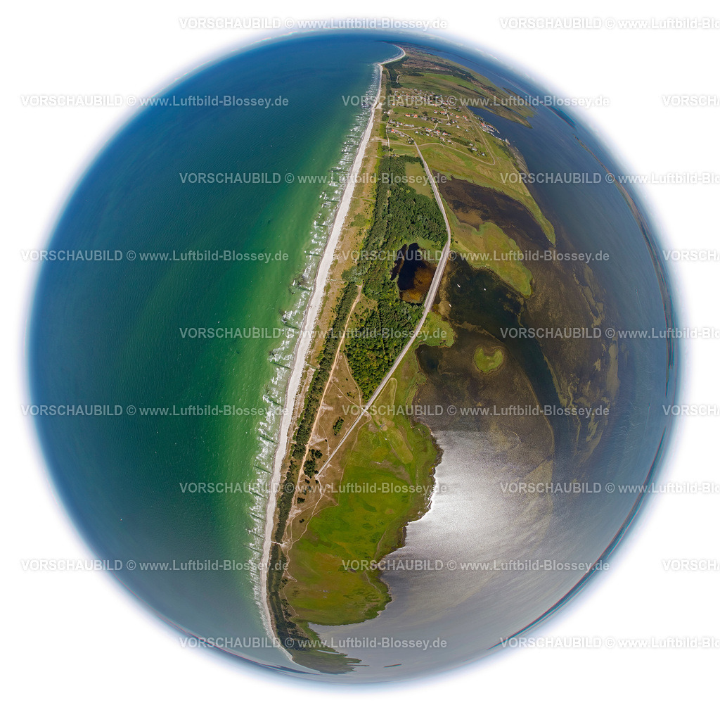 Hiddensee12081735B | Naturschutzgebiet Dünenheide, Heidelandschaft,  Insel Hiddensee, Ostseeinsel, Mecklenburg-Vorpommern, Deutschland, Europa