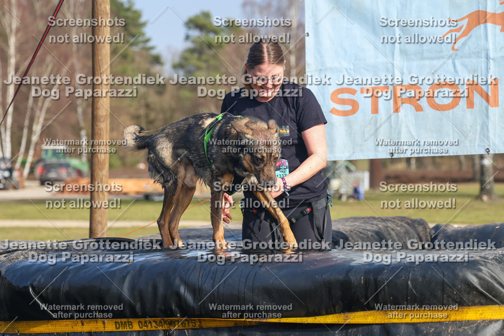 Dog Paparazzi - Strongdog North Mrz26-3012 | Dog Paparazzi Jeanette Grottendiek Fotografie & Videografie - Realisiert mit Pictrs.com
