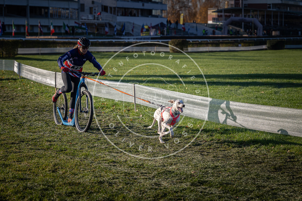 CaniXpix_0L8A3997 | Hundefotografie, Tierfotograf, Pfotenfotografie, Fotoshooting Hund, Hunde Portrait, Hundesport, Hundeportraits, Heideshooting, Hunde, Sportfotograf, Hundefotograf, Turnierhundsport, THS,  - Realisiert mit Pictrs.com