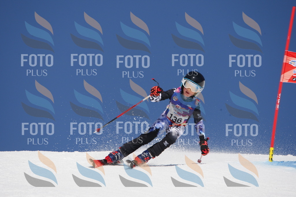 _W1G2042 | holidayphoto