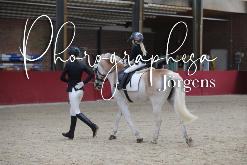 IMG_0848 | photographesa-joergens - Realisiert mit Pictrs.com