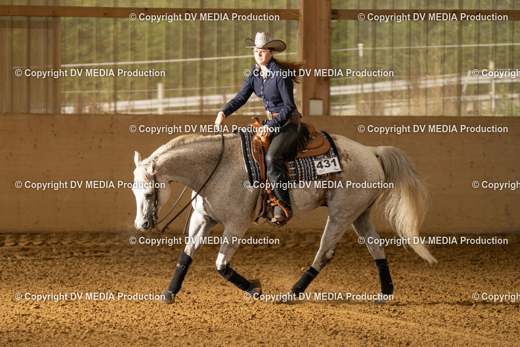 LAU01377 | dv-media-shop - Realisiert mit Pictrs.com