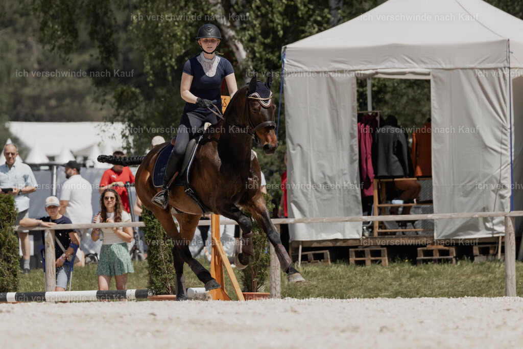 WE_SP_Stoib_333_PI2025_2038 | Pferd International München 2025