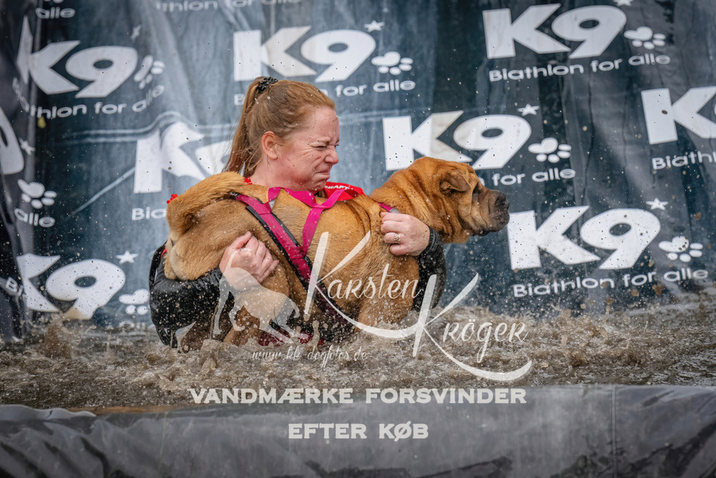 1206_ZZ94328 | kk-dogfotos