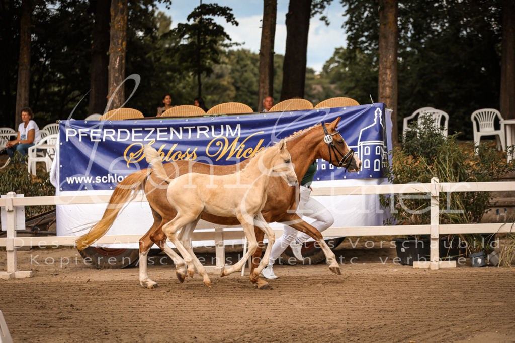 07.So00007 | Leoni Ertmer Photography - Realisiert mit Pictrs.com