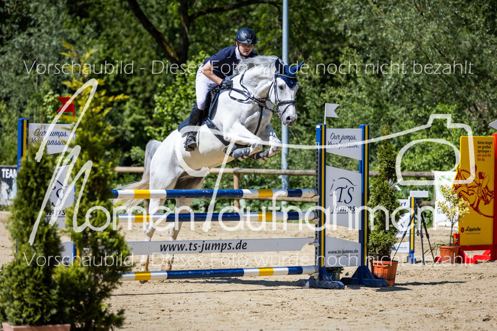 Donop24-L-Spr-025 | MomenTaufnahmen Pferdesportfotos