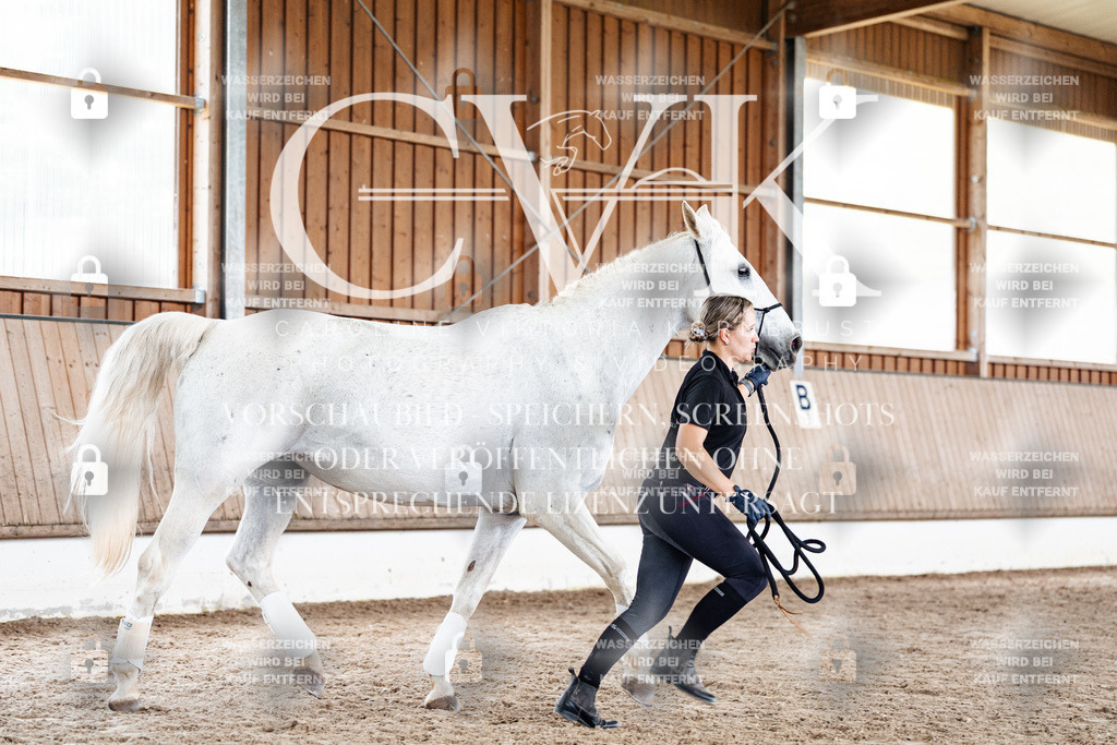 CK908189 | Turnierfotografie Pferdefotografie Trier Rheinland-Pfalz Pferdesport Reitsport Tierfotografie Sportfotografie Pferdevideo Pferdevideografie Equestrianvideography equestrianphotography  - Realisiert mit Pictrs.com