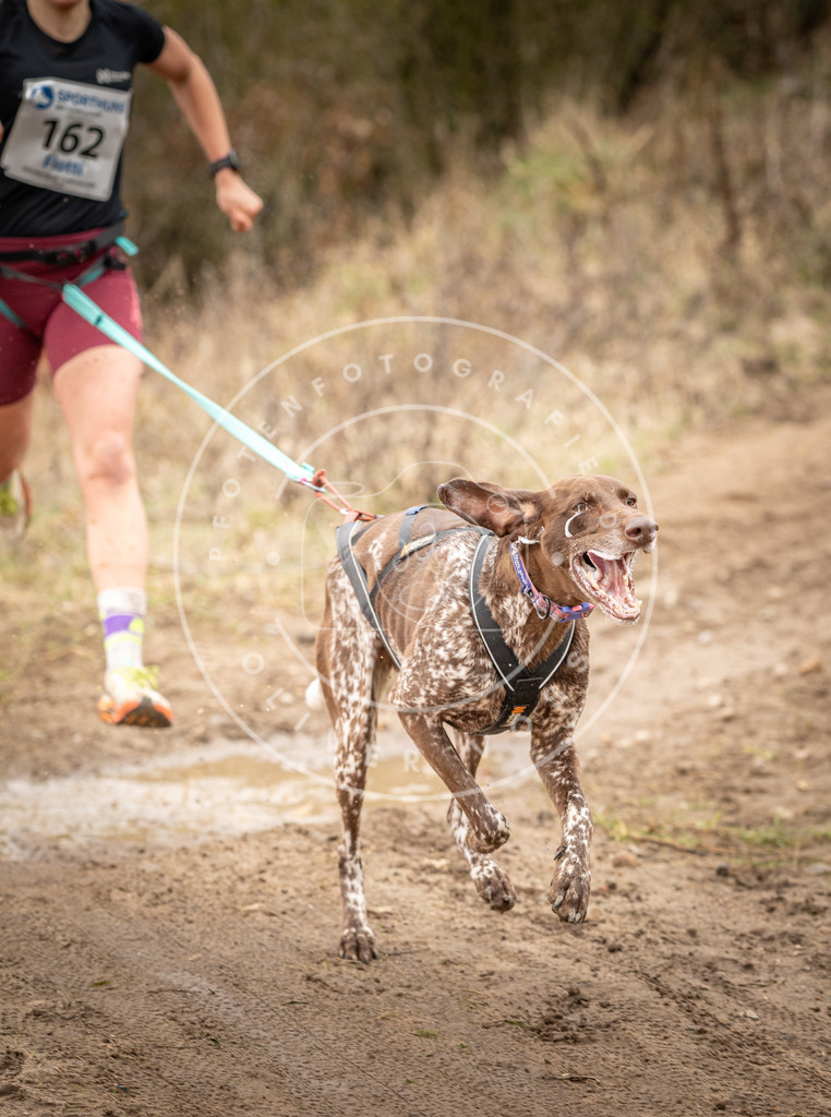 DV3A2029 | Hundefotografie, Tierfotograf, Pfotenfotografie, Fotoshooting Hund, Hunde Portrait, Hundesport, Hundeportraits, Heideshooting, Hunde, Sportfotograf, Hundefotograf, Turnierhundsport, THS,  - Realisiert mit Pictrs.com