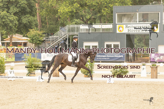 SW 4-652 | mandyhollmannphotographie