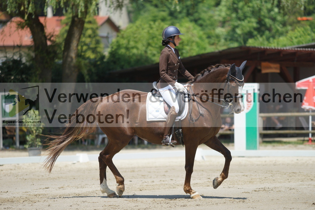 DSC05050 | equestrian-live-com