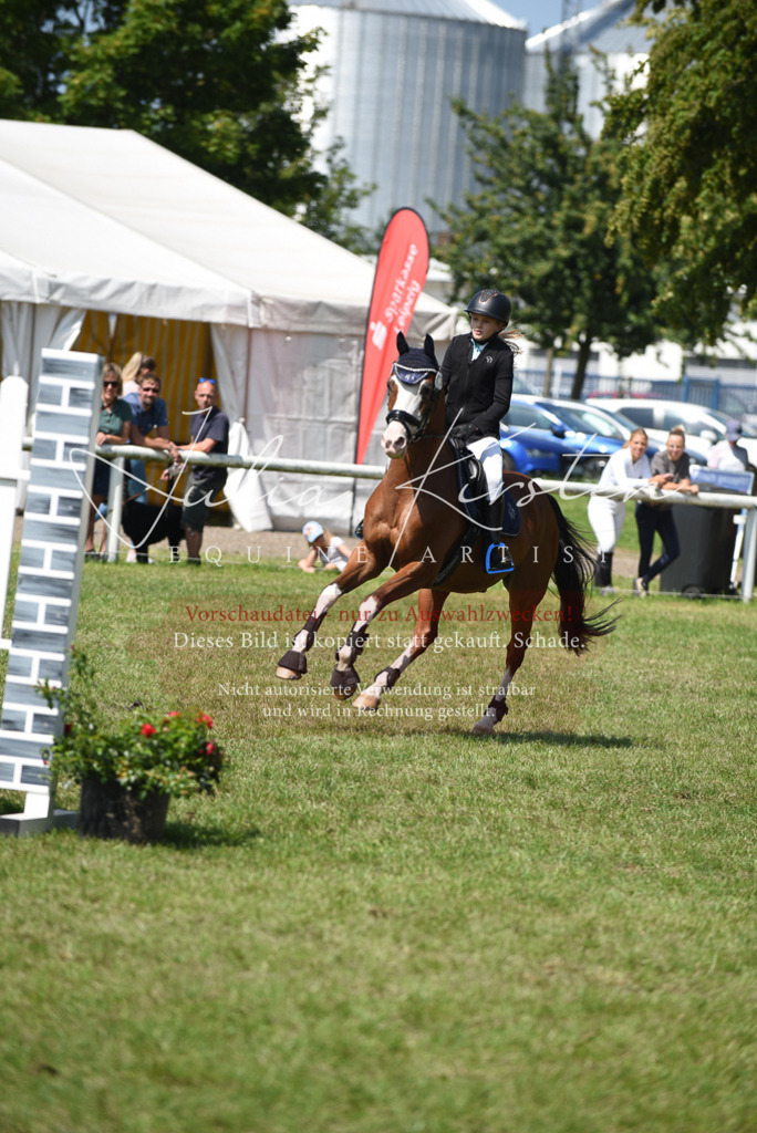 DSC_0004 | Pferde- und Turnierfotografie in Westsachsen. Pferdeportraits, Auftragszeichnungen und intuitive Kunst.
