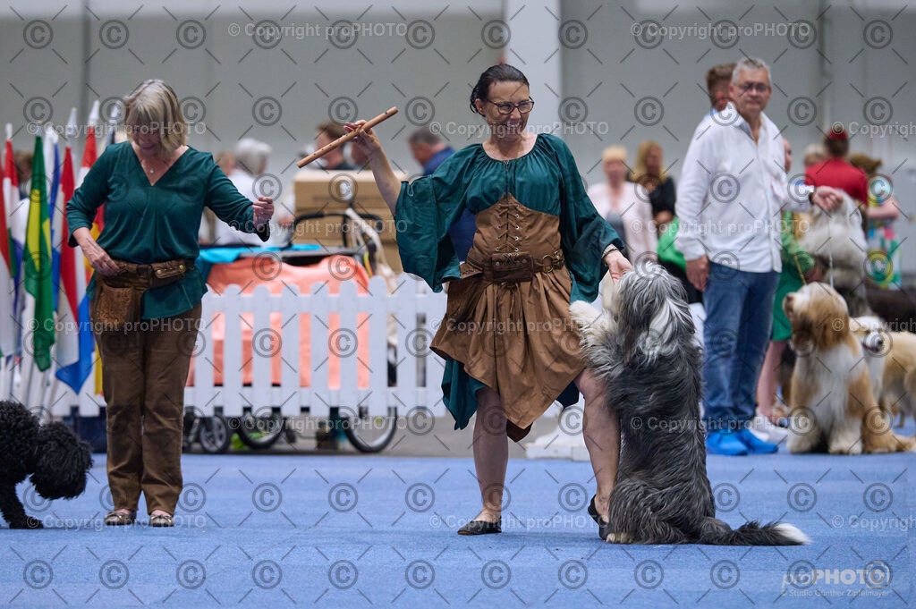 202406_ÖKV-IHA-Tulln24_DSC_3278 | proPHOTO - Realisiert mit Pictrs.com