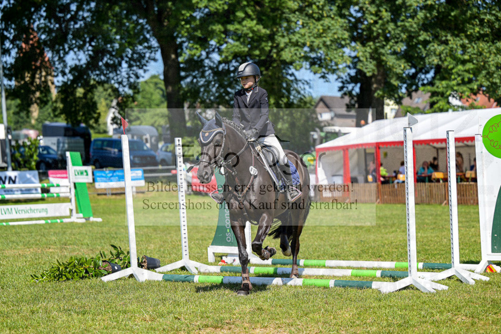 Reitturnier Voxtrup | Entdecke hochwertige Reitturnierfotos von Foto Oger. Professionell, emotional und authentisch – jetzt Lieblingsmomente im Shop bestellen.Deutschlandweite Turnierfotografie. - Realisiert mit Pictrs.com