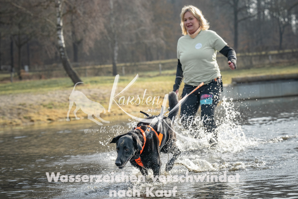 0943_ZZ93092 | kk-dogfotos