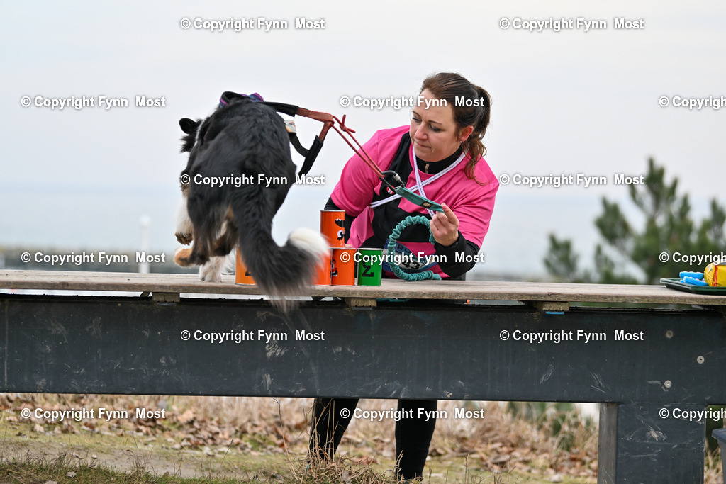 DSC_2379 | Hallo und herzlich Willkommen auf meiner Shop-Seite Fynn Most.

Ich wünsche Dir viel Spaß beim stöbern durch die Bilder, wenn Du Fragen hast oder Bilder vermisst, kannst du mir gerne eine Nachricht schreiben. - Realisiert mit Pictrs.com