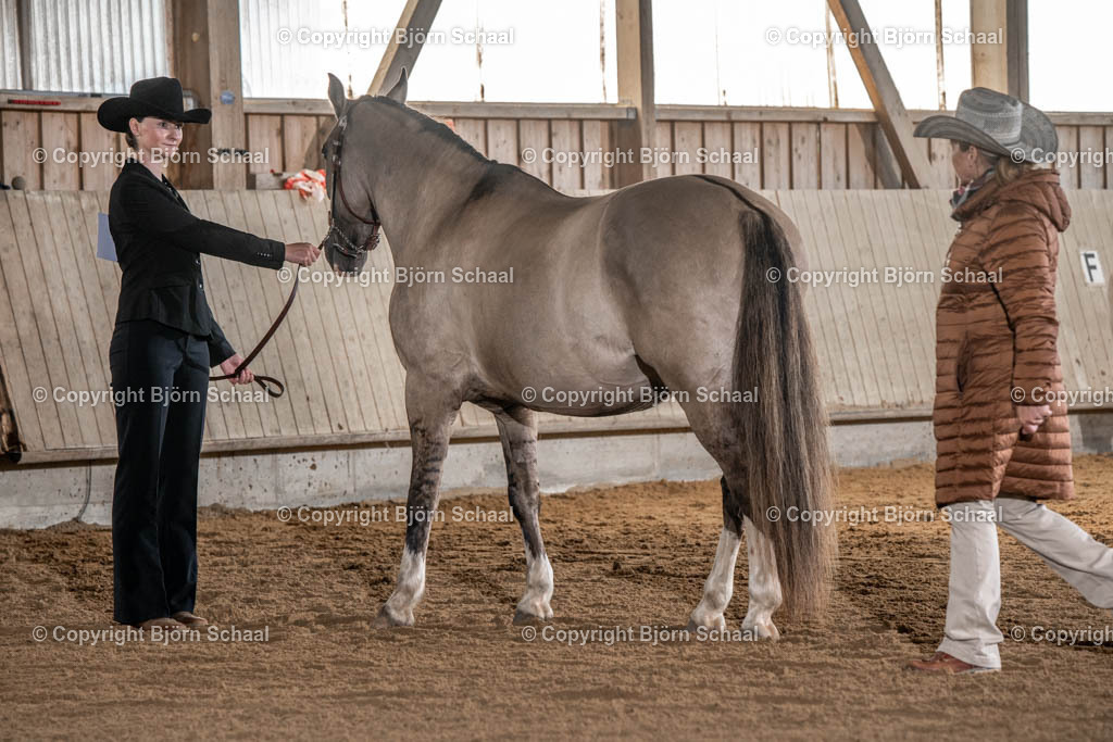 SBS02658 | BS-foto