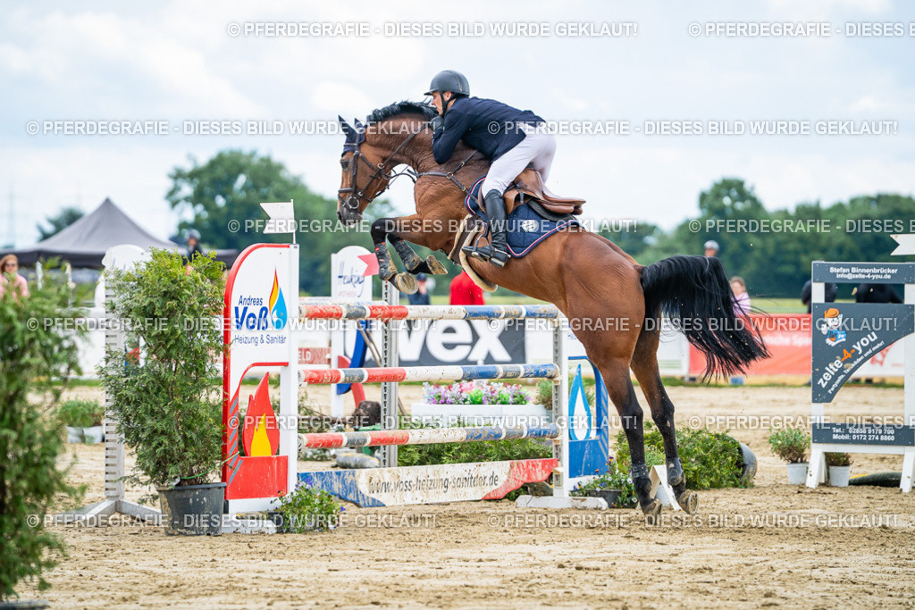 DSC06093 | Pferdegrafie