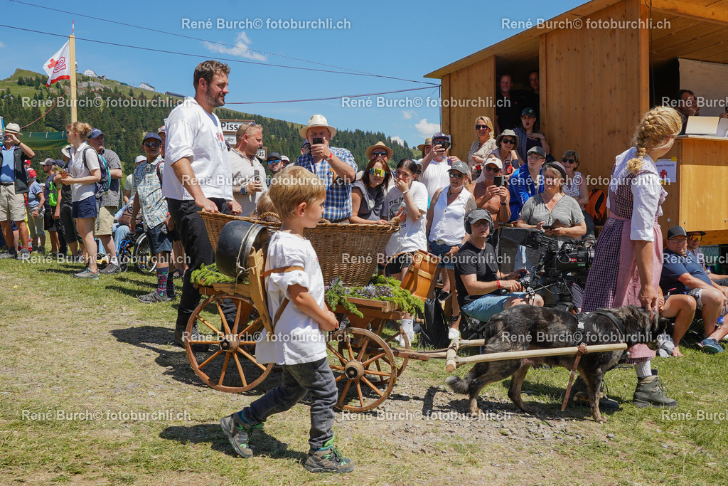 DSC00655 | René Burch leidenschaftlicher Fotograf aus Kerns in Obwalden.  Hier finden sie Sport, Landschaft und Natur Fotografie.
 - Realisiert mit Pictrs.com