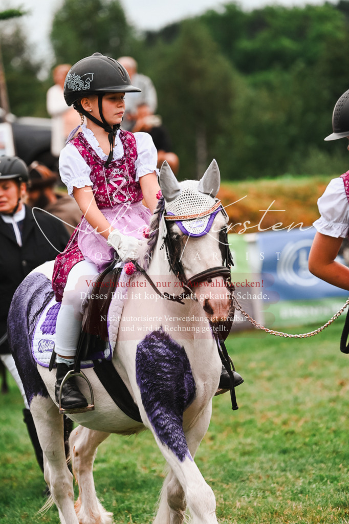DSC_7394 | Pferde- und Turnierfotografie in Westsachsen. Pferdeportraits, Auftragszeichnungen und intuitive Kunst.