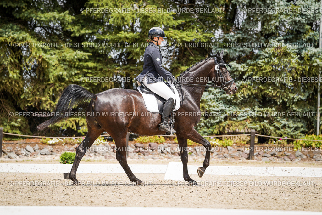 DSC02773 | Pferdegrafie