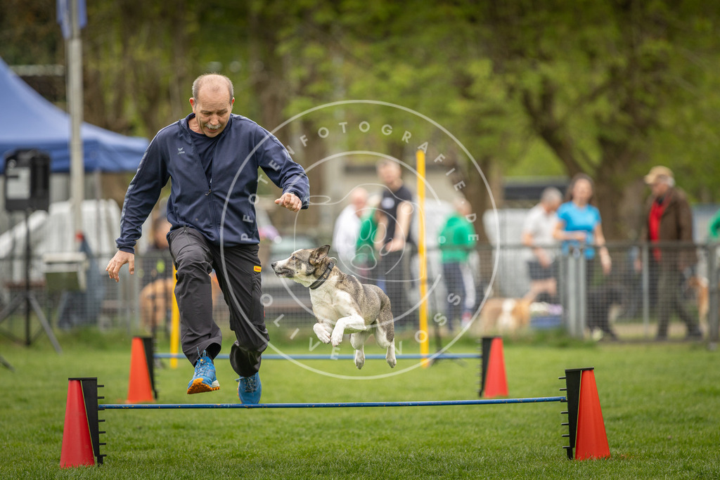 Pfotenfotografie_DV3A2394 | Hundefotografie, Tierfotograf, Pfotenfotografie, Fotoshooting Hund, Hunde Portrait, Hundesport, Hundeportraits, Heideshooting, Hunde, Sportfotograf, Hundefotograf, Turnierhundsport, THS,  - Realisiert mit Pictrs.com