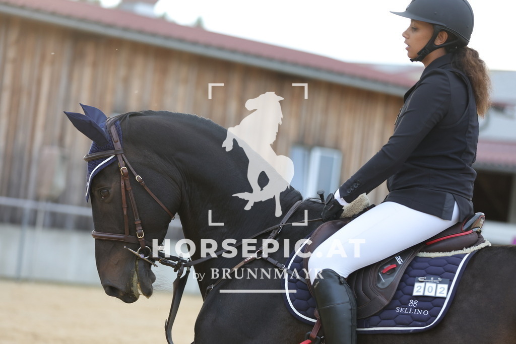 0P6A0128 | Willkommen bei Brunnmayr - Design & Fotografie – Ihrem Spezialisten für Reitturniere und Pferdeveranstaltungen in Oberösterreich, Salzburg und Bayern! Seit über 17 Jahren sind wir leidenschaftlich dabei.