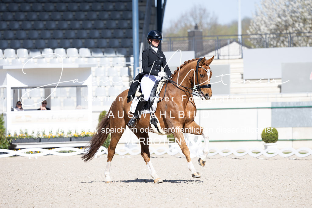 126A1430 | jasminmetznerfotografie