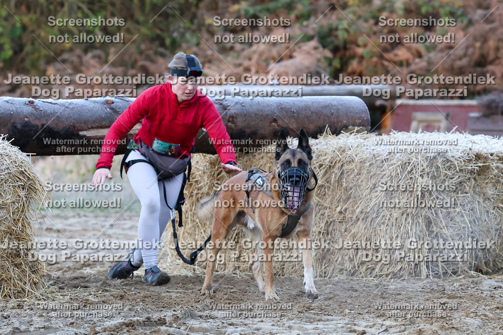 Dog Paparazzi - Strongdog 10-25-346 | Dog Paparazzi Jeanette Grottendiek Fotografie & Videografie - Realisiert mit Pictrs.com