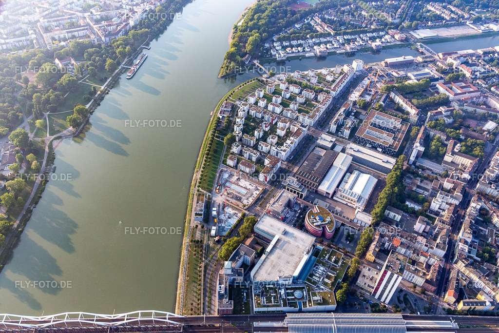 Wohnen am Fluß, Rheinschanzenpromenade | Luftbild: Wohnen am Fluß, Rheinschanzenpromenade im Ortsteil Süd in Ludwigshafen im Bundesland Rheinland-Pfalz in Deutschland. Foto: IMG_116902.jpg vom 25.08.2019 durch Werner Riehm/FLY-FOTO.de - Realisiert mit Pictrs.com