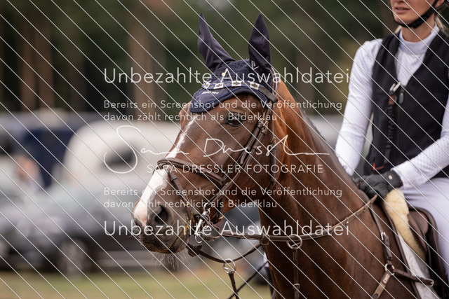 LR262_SD_01306 | saradresslerfotografie - Realisiert mit Pictrs.com