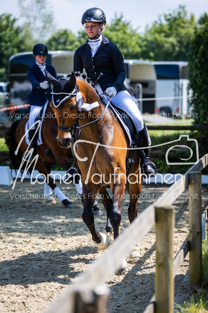 Donop24-L-Dre-137 | MomenTaufnahmen Pferdesportfotos