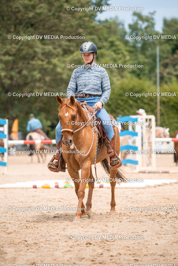 ZS2_8181 | dv-media-shop - Realisiert mit Pictrs.com