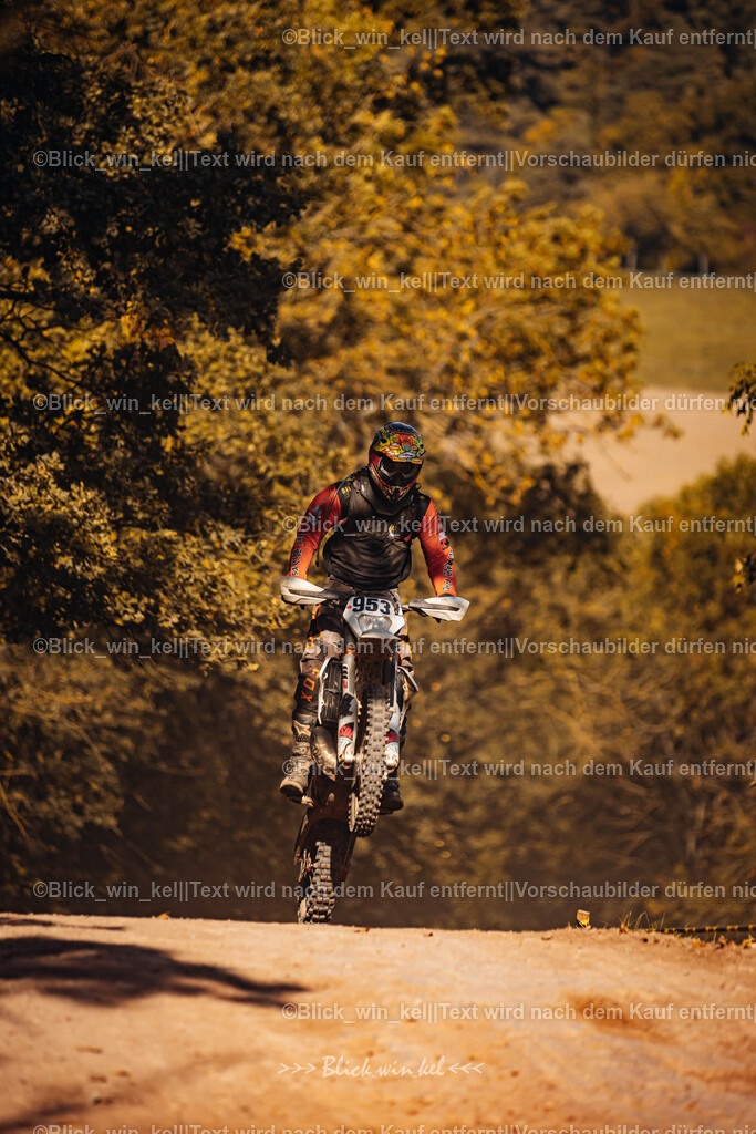 E68A7572 | blick_win_kel