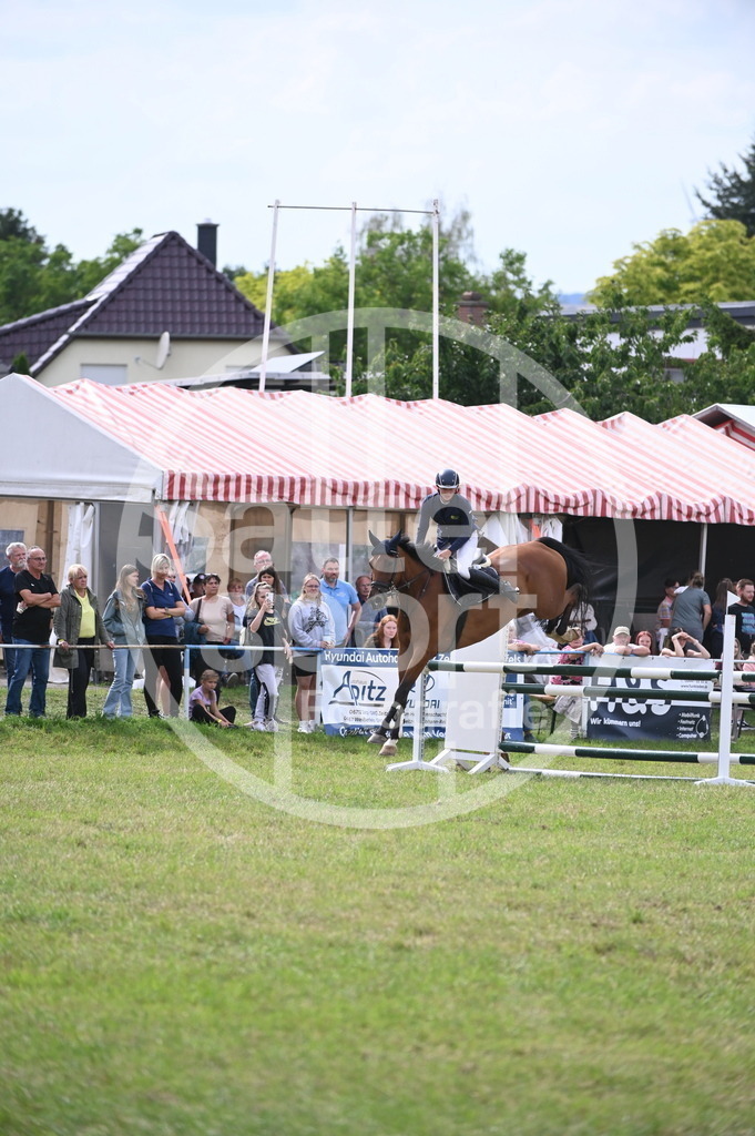 DSC_2865 | sattelsport - Realisiert mit Pictrs.com