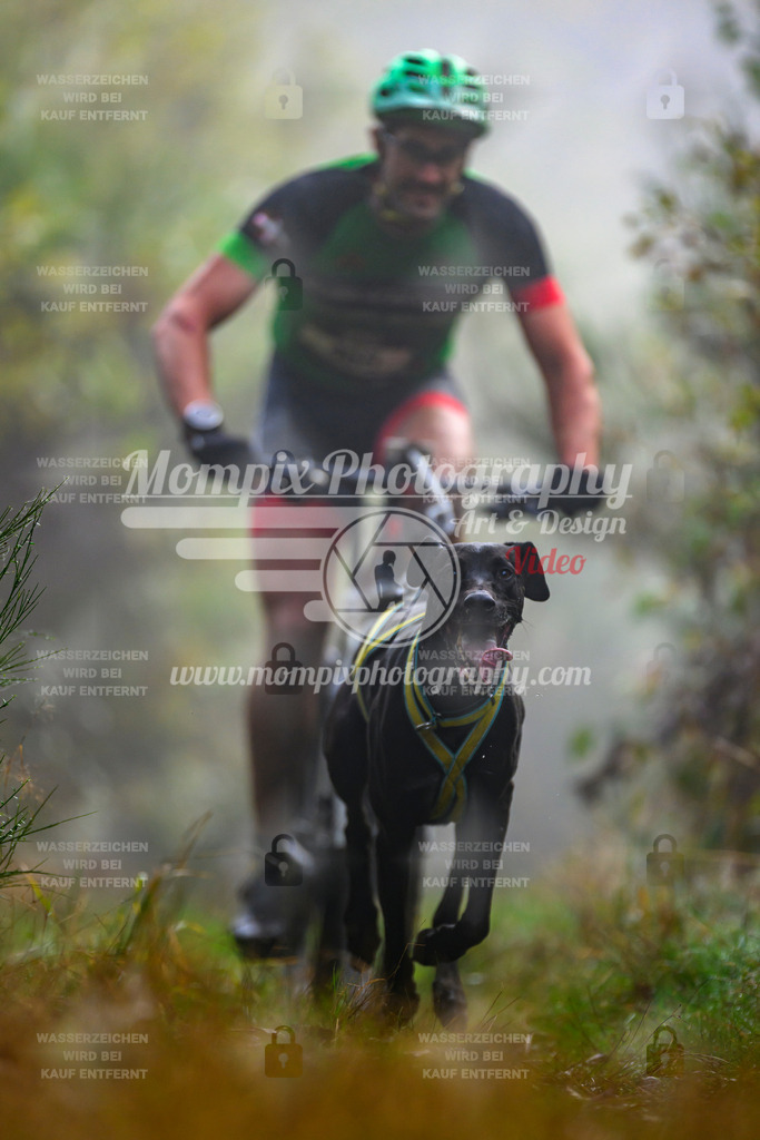 MompixPhotography_20TSB_E4_Bike-17 | PayLife