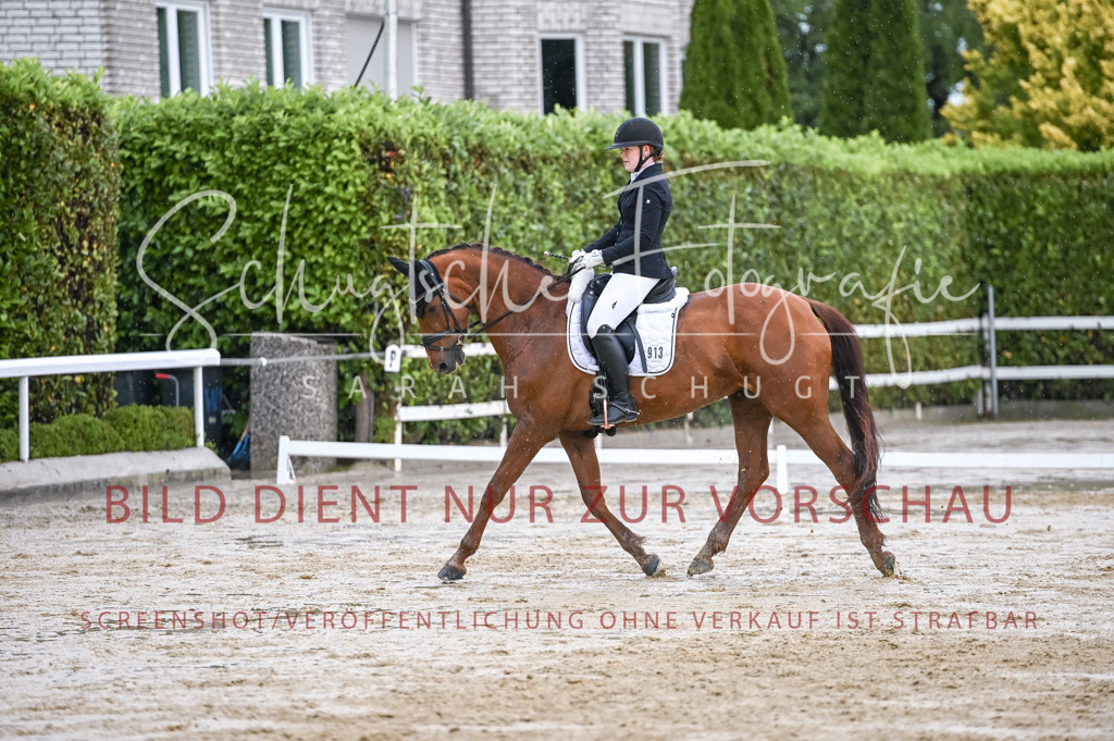 Schugtsche-Aluta25-55.Dressurreiterprf.L1Tr-247 | Schugtsche Fotografie - Realisiert mit Pictrs.com