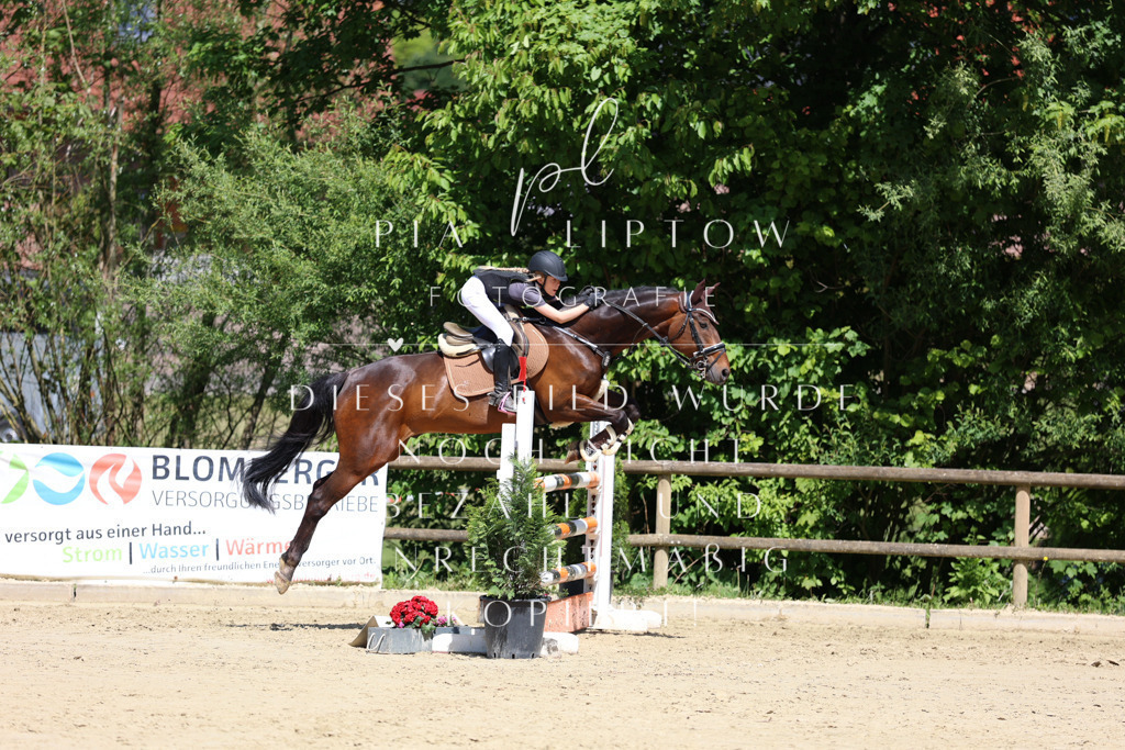 IMGS8072 | pl-fotografie