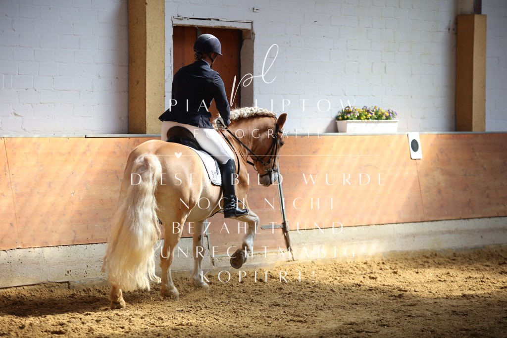 IMGT7335 | pl-fotografie