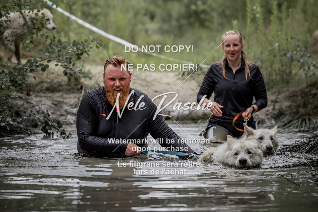 nelerasche_so0800-0930_448 | nelerasche