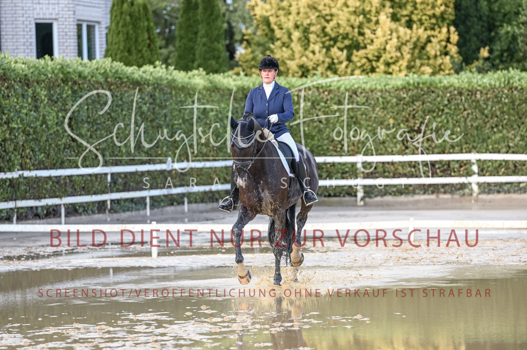 Schugtsche-Aluta25-54.Dressurprf.L1Trense-318 | Schugtsche Fotografie - Realisiert mit Pictrs.com
