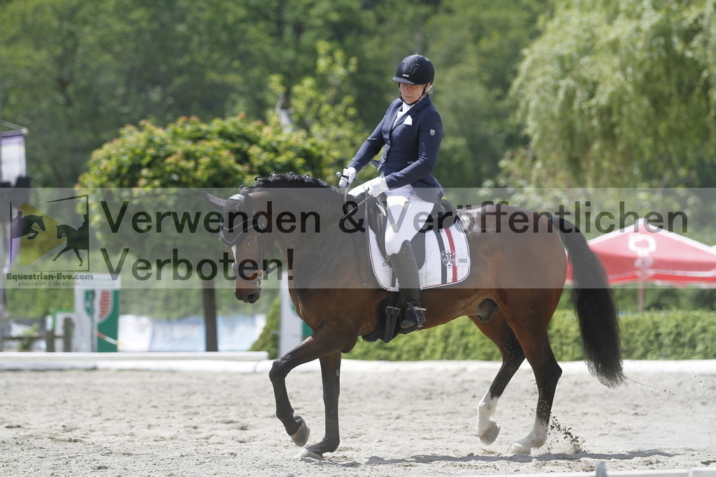 _MG_9902 | equestrian-live-com