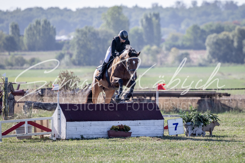 20260906-_3LI1902 | Tierfotografie Pferde, Hunde, Katzen, Haustiere.
Turnierfotografie Reitturniere, Reiten, Springreiten, Dressur in Hanau, dem Main-Kinzig-Kreis und dem Rhein-Main- Gebiet um Frankfurt